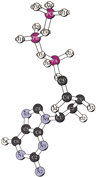 Adenosin-5'-Triphosphorsäure