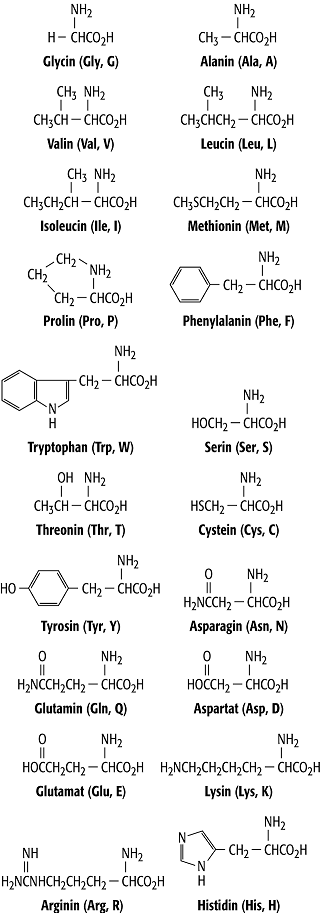 Aminosäure