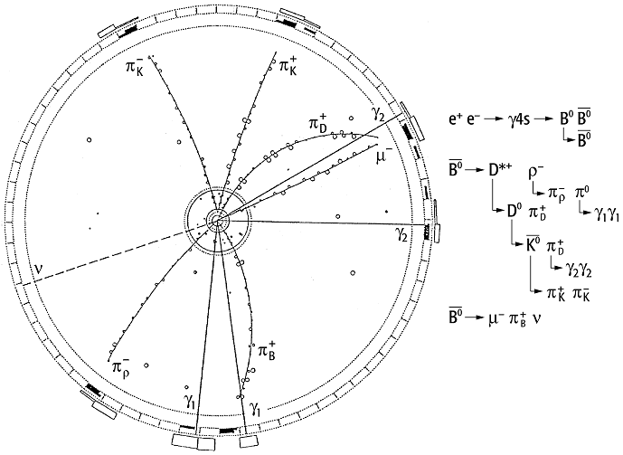 ARGUSTeilchenphysik