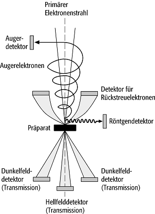 Auger-Elektronenmikroskop