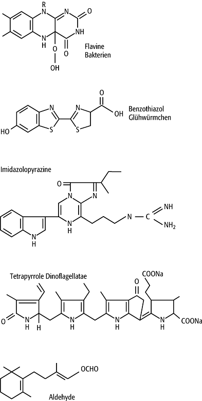 Biolumineszenz