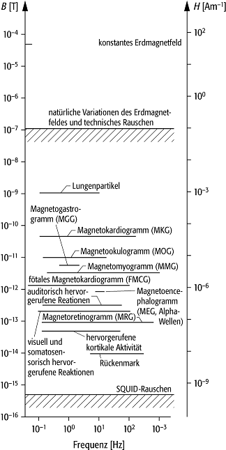 Biomagnetismus