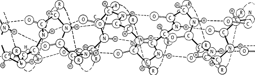 Biomakromolekül