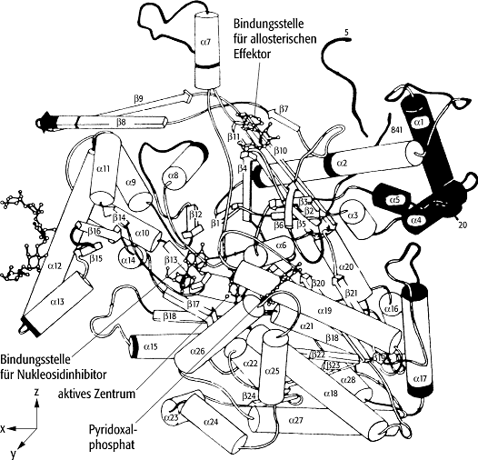 Biomakromolekül