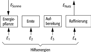 Biomasse