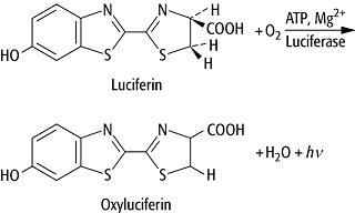 Chemolumineszenz