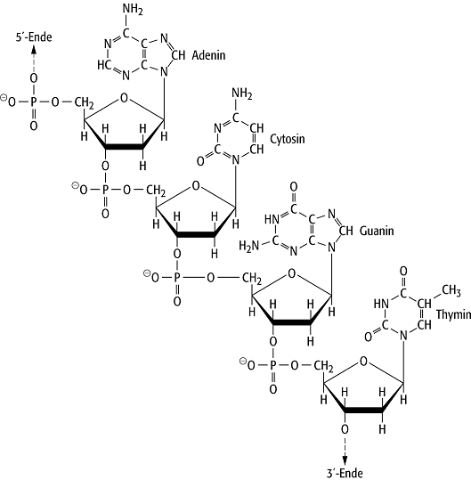 DNS