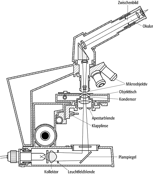 Durchlichtmikroskopie