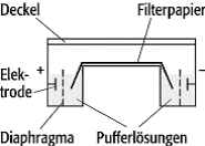 Elektrophorese