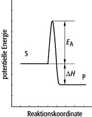 Enzyme