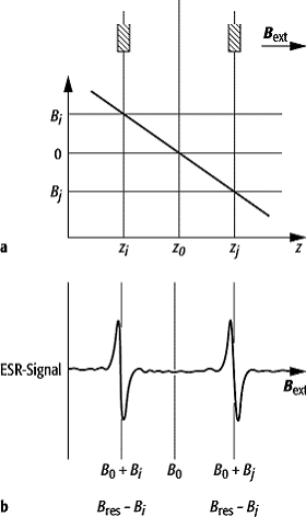 ESR-Bildgebung