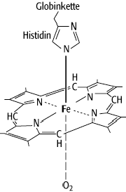 Häm-Gruppe