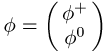 Higgs-Mechanismus