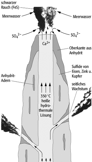 Hydrothermalismus