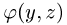 Integro-Differentialgleichungen