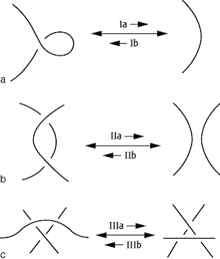 Knoteninvarianten