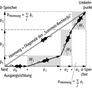 Kommunikations- und Orientierungsleistungen von Lebewesen