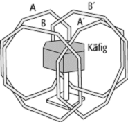 Kommunikations- und Orientierungsleistungen von Lebewesen