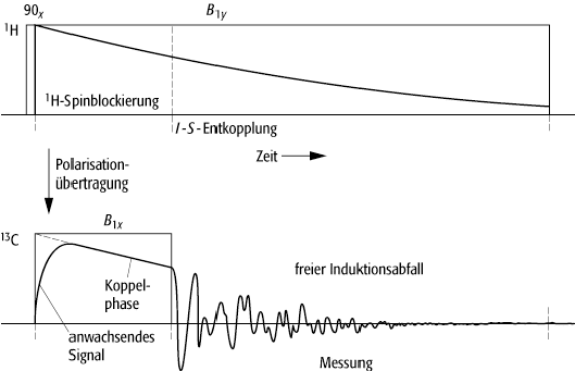 Kreuzpolarisation