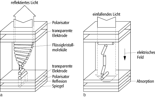 LCD