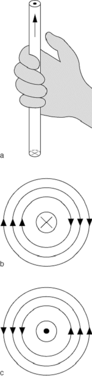 Magnetfeldlinien