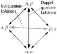 Mehrquantenkohärenz