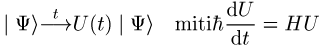 Messprozesse in der Quantenmechanik