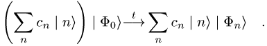 Messprozesse in der Quantenmechanik