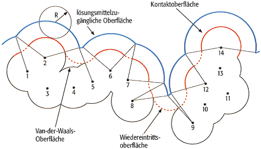 molekulare Oberfläche