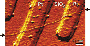 Nanoröhrchen