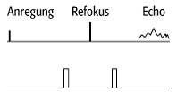 NMR-Diffusions- und Bewegungseffekte