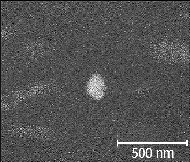 Ober- und Grenzflächenphysik