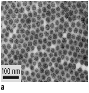 Ober- und Grenzflächenphysik