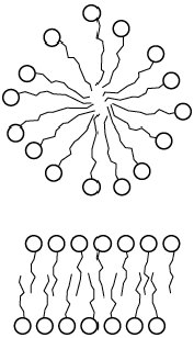 Ober- und Grenzflächenphysik