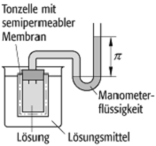 Pfeffersche Zelle