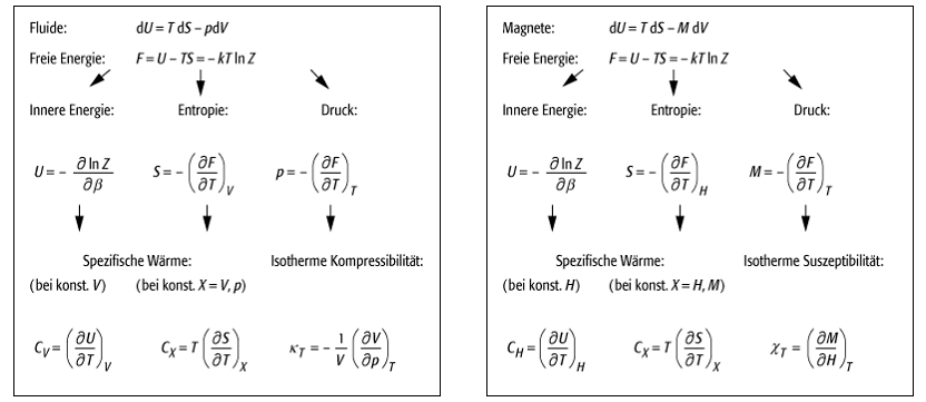 Phasenübergänge und kritische Phänomene