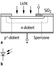 Photodiode