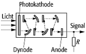 Photomultiplier