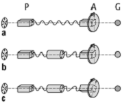 Polarimeter