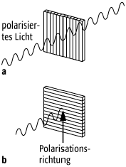 Polarisationsfilter