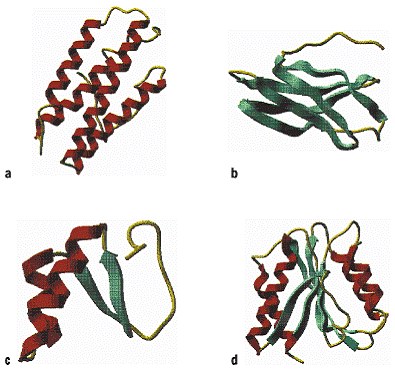 Proteine