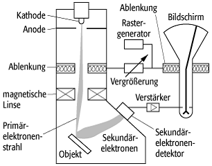 Rasterelektronenmikroskop