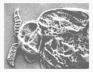 Schwerionenmikrolithographie