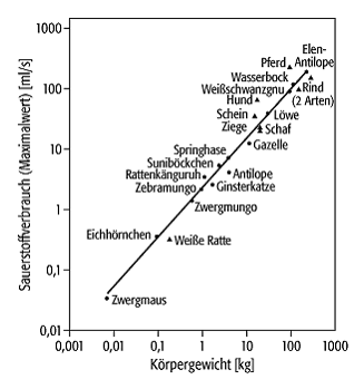 Skalengesetze, biologische