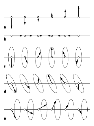 Spindichtewellen