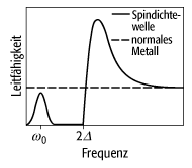 Spindichtewellen