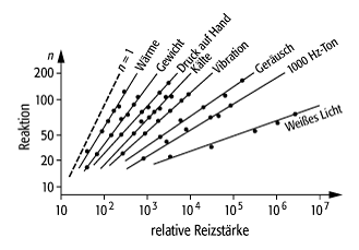 Stevens-Potenzgesetz