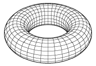 Torus