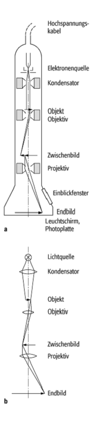 Transmissionselektronenmikroskop