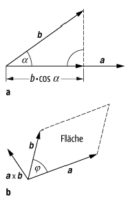 Vektor